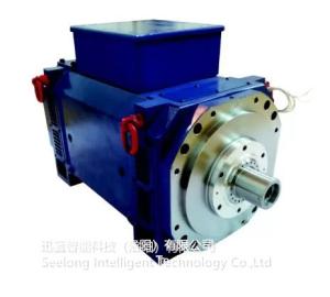 Dinamômetro de SeeLong 16000 RPM 0.2%FS para carros