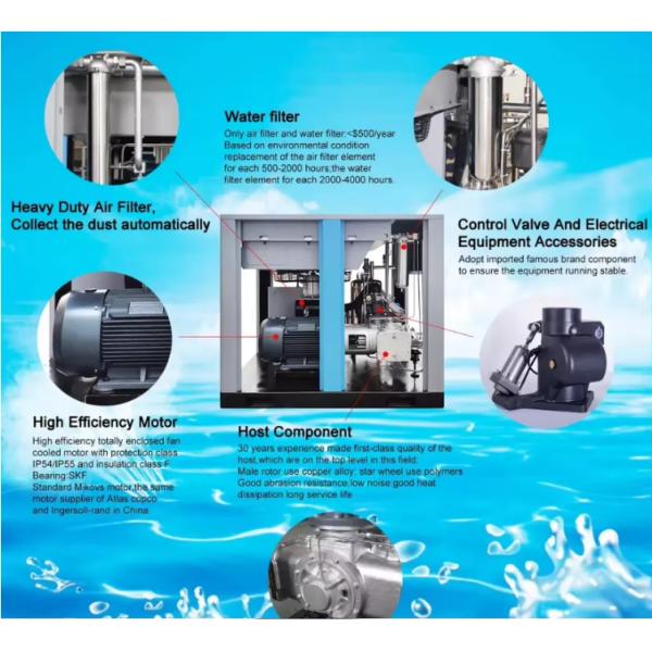 High/Low Pressure Oil-Free Air Compressor Single Screw Direct-Driven 1-Year Warranty Industrial Rotary Screw Compressors Spare