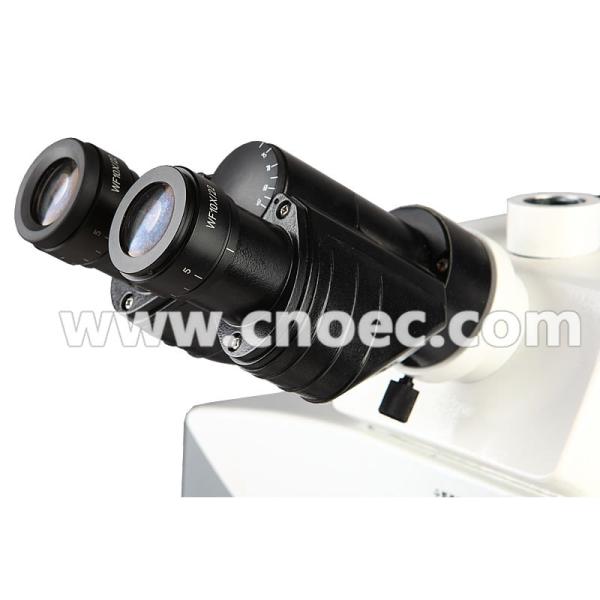 Forensic Binocular Optical Microscope 100X / 300X A18.1848