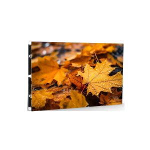 COB LED Screen