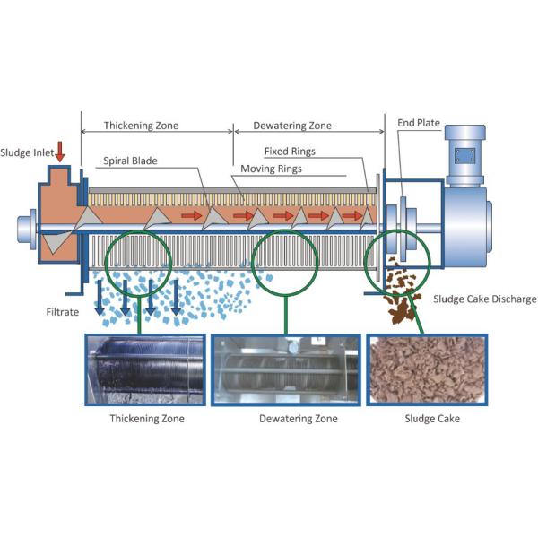 Screw Press Wastewater Treatment Equipment The Ultimate Solution for Sludge Dewatering