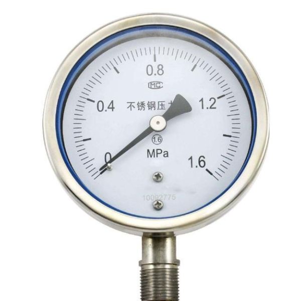 Stainless Steel Pressure Gauge with 1600 bar Range and IP65 Protection for Industrial Use