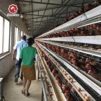 A galinha das aves domésticas prende 4 séries um tipo gaiola automática das galinhas poedeiras de ovo do fio de galinha da camada da bateria
