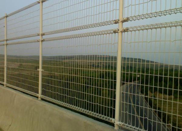 decorative Double Loop Wire Fence/Double Roll Top Welded Fence/Double Wire Loop Yard Fence direct Anping factory