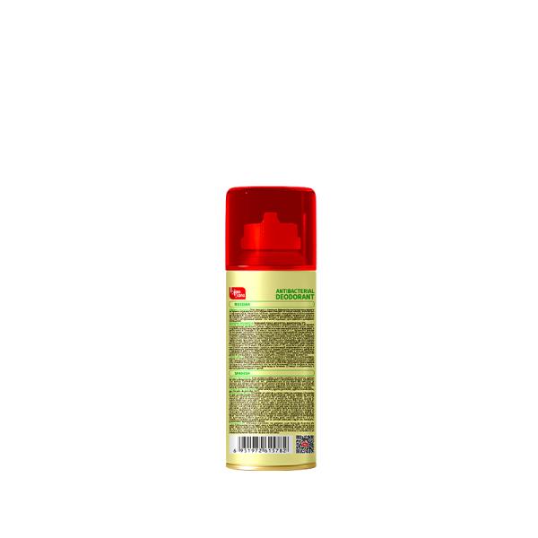 150ml Car Air Freshener Spray Bacteria And Odors Elimination