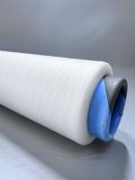 Nylon 66 Monofilament haute résistance 0,20 mm Tordu 30% allongement