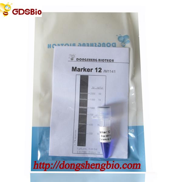 Escada M1141 do ADN do marcador 12 (50μg) /M1142 (5×50μg)