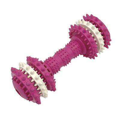 Durable en caoutchouc chien mâcher jouet forme haltère avec les bosses de nettoyage des dents