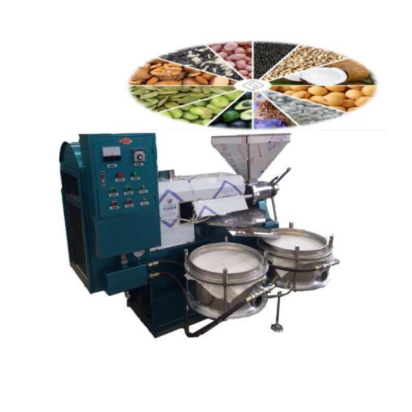 Sunflower Screw Spiral Oil Press Machine for All Your Sesame Oil Extraction Needs