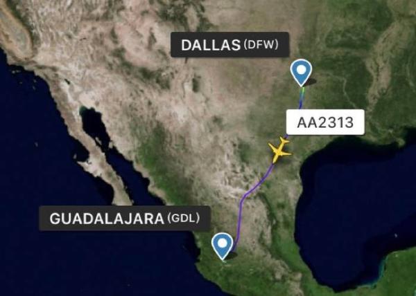 Worldwide Air Cargo Delivery Company Rapid Reply Freight Forwarding Logistics