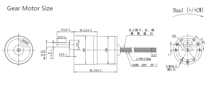FT-37RGM3626 BL Electric Motor Silent 12V 24V Spur Gear Brushless Motor