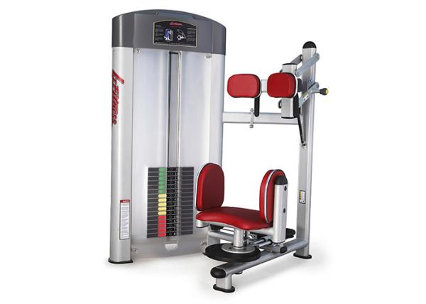 Sports Training Life Fitness Strength Equipment / Torso Rotation Machine