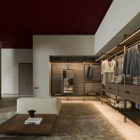 Luxury Modern Walk-in Clothes Organizer Closet Storage Cabinet Wardrobe with Glass Door for Room