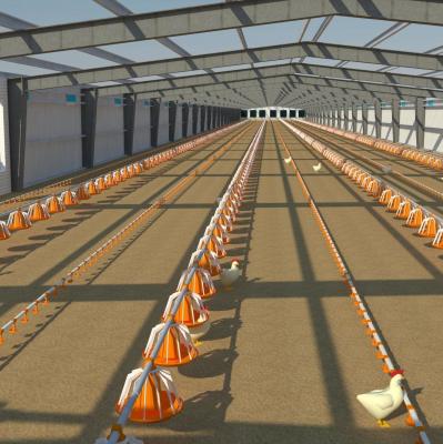 Versatile Steel Warehouse Prefab Farm Building Sheds Poultry House Design for Workshop