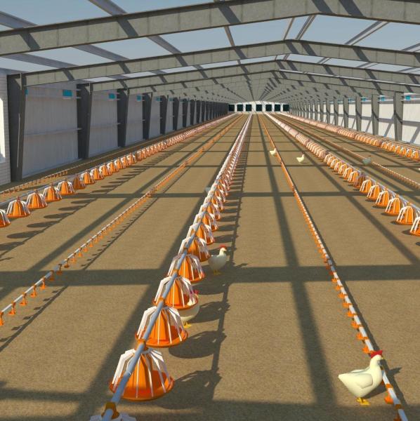 Estilo de design de armazém industrial Estrutura de aço pré-fabricada Abrigo de fazenda de frangos