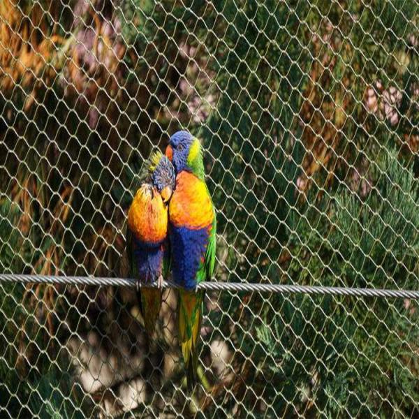 304L 316L PVC Coated Garden Wire Fencing Mesh Panels 7X19 Zoo Mesh Net