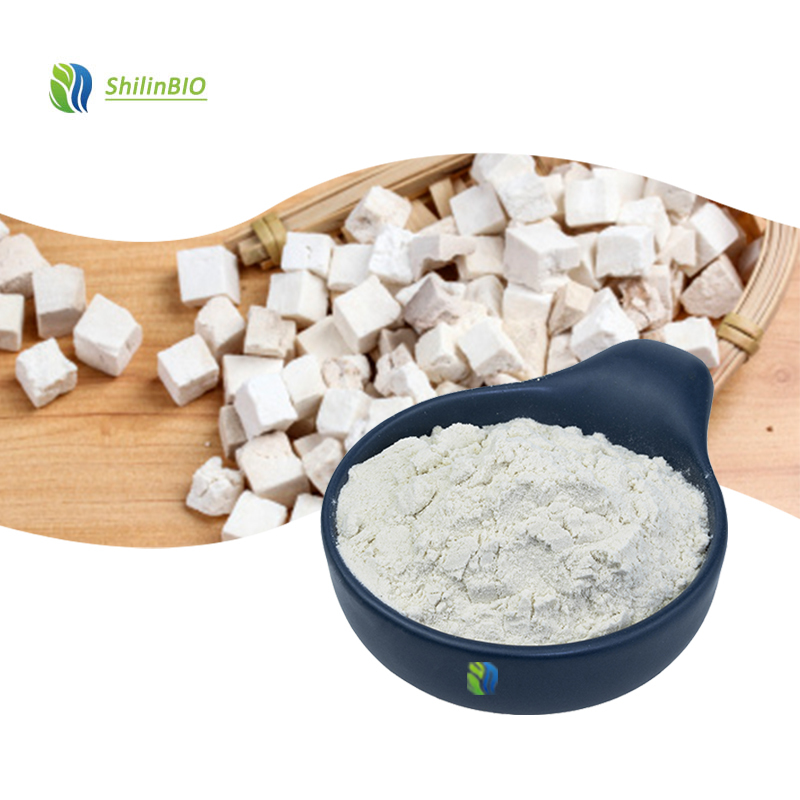 High Quality 10:1 20:1 Poria Cocos Extract Powder Food Grade Mushroom Extract
