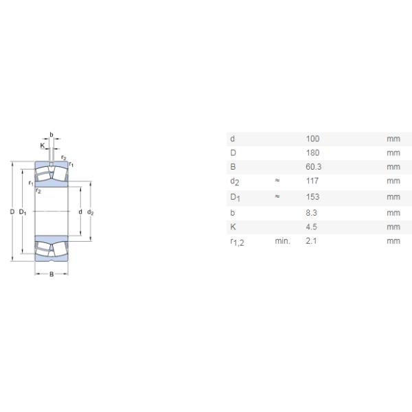 Original Japan NSK 100*180*60.3 Spherical Roller Bearing 23220 CC W33 High Speed