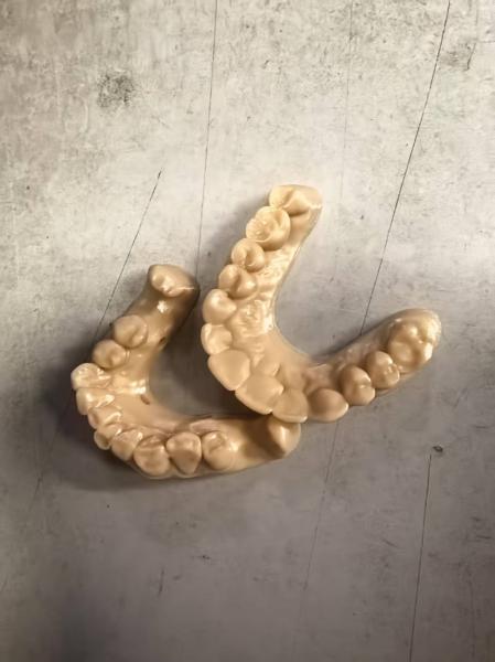 Opposite Jaw Model Low Shrinkage 3D Printed Denture Teeth Fast Curing