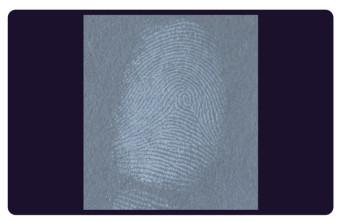 C205 BTDM-Ⅰ Vacuum coating fingerprint developing instrument