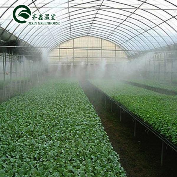 Large Steel Greenhouse Structure Shed Design With 150/200micro PE Film Covering