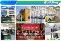 Carro de golf eléctrico utilitario de 4+2 plazas compatible con OEM, carrito de golf eléctrico, batería de litio de 70 V