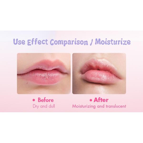 Custom Chapstick Lip Balm Vegan Formula Macaron Color Protect And Nourish Your Lips