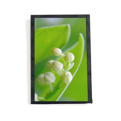 7 pulgadas pantalla LCD de alto brillo 2000nits 40 pines interfaz MIPI módulo IPS TFT LCD