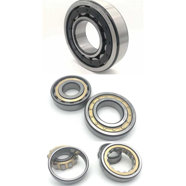 NJ304 Cylindrical Roller Bearings