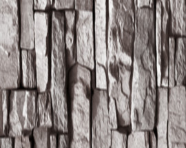 3003H24 H26 Алюминиевая катушка ПВДФ Стенная крыша Лист печати Цветовая катушка Деревянное зерно 50-летняя гарантия Цветно покрытая катушка