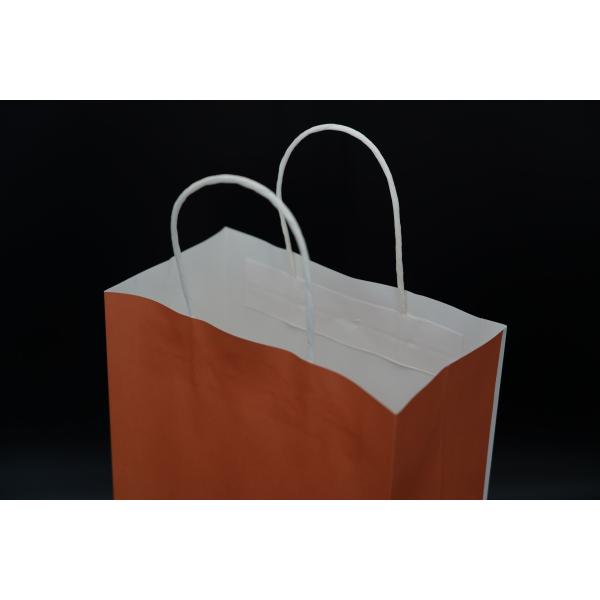 Custom Orange Eco Paper Bags With Handles Twisted Solid Plate Printing