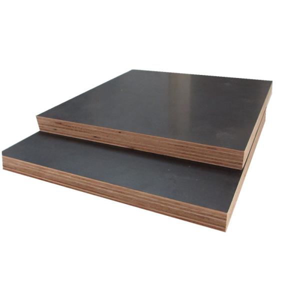 Outdoor Use 18mm 21mm Eucalyptus Film Faced Birch Plywood