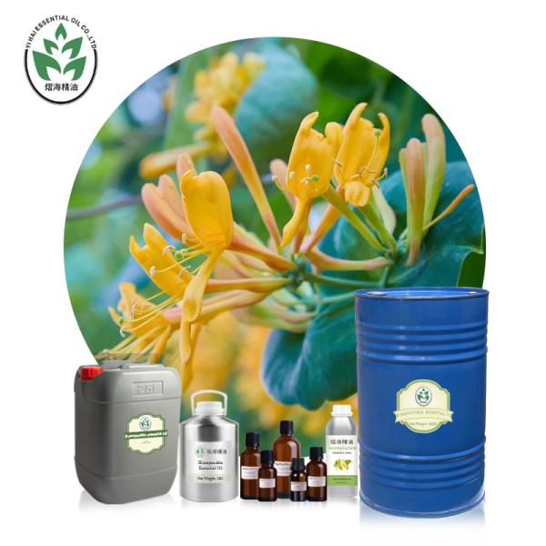 CAS 8023-93-6 Pure Organic Essential Oils Honeysuckle Essential Oil