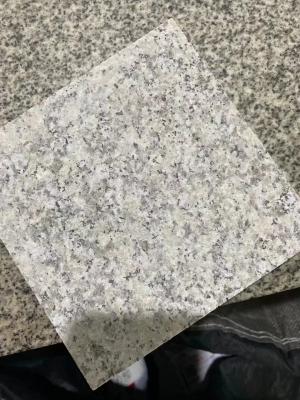 A pedra do granito de Gray Natural G602 telha a cara ardida para a etapa da escadaria