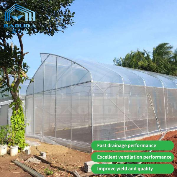 Baolida Sawtooth Greenhouse Cross Roof Agricultural Greenhouse Serre Agricole 