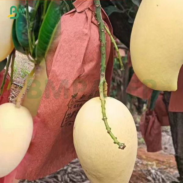 56gsm Red Wax Coated Paper For Mango Growing Protection Packing Paper
