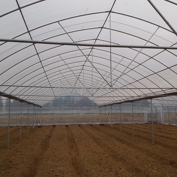 Film Cover Fiber Glass Greenhouse 8m Tunnel Width With Cooling Pad
