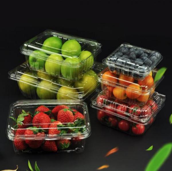 OEM PET Fruit Plastic Container Transparent PET Box for Snack Nuts Dessert Fruits