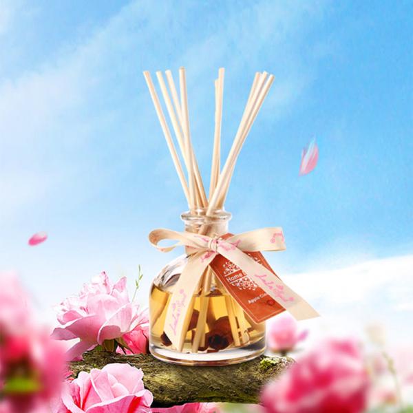 Aromatherapy Room Fragrance Diffuser Household Odor Removal Perfume Glass Bottle