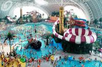 Space Bowl Slides de água de fibra de vidro para aventura diversão Parque aquático Passeios aquáticos
