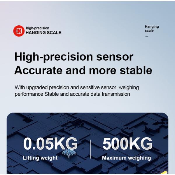 High Accuracy LED Display Electronic Scale for Lifting Weight 500kg Capacity Direct View 50g Accuracy
