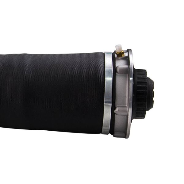 Hot Sell Rear Air Suspension Shock Absorber Reart Left and Right Shock Absorbers for Audi Auto Parts