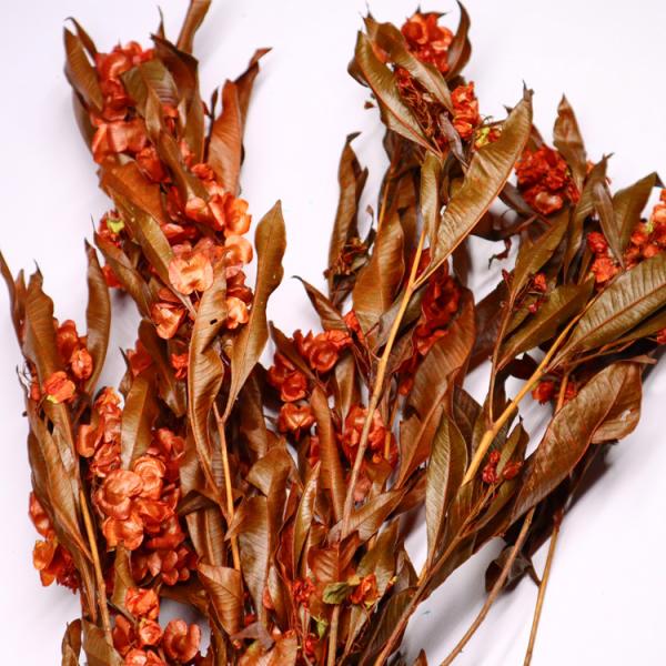 Natural Green Preserved Eucalyptus Leaves Real Touch Feel & Eco Friendly