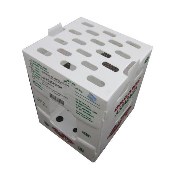 Lightweight and Durable PP Corrugated Plastic Packing Box for Packaging Need