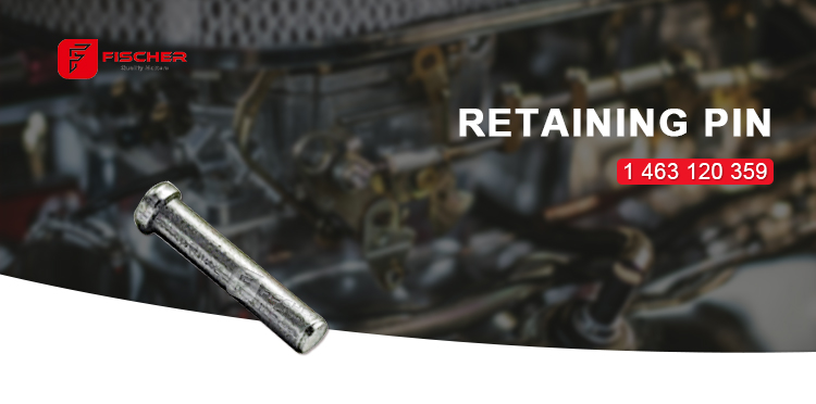 High Performance Retaining Pin 1463120359  for Injection VE PUMP