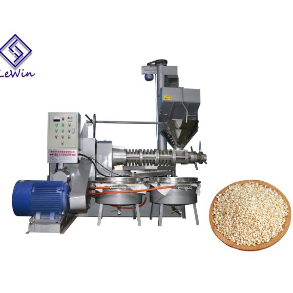 3-6 машина извлечения масла сезама машины прессы масла винта тонн/дня холодная