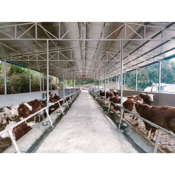 Corrosion Resistant Steel Structure Poultry House 8 - 30 Meters Steel Farm Buildings