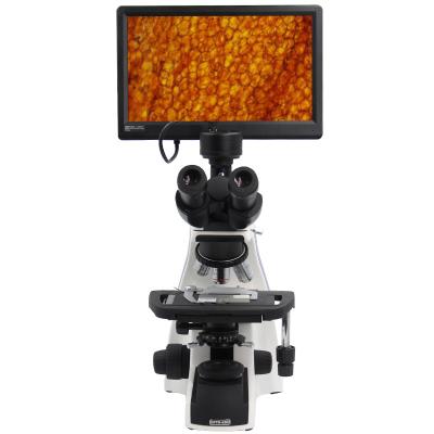 Microscópio video composto biológico de Digitas/12,5 do” microscópios de Trinocular Profesional Pantalla Lcd laboratório