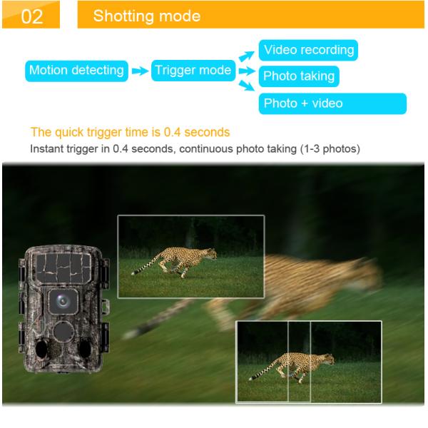 Wifi Infrared Night Vision Trail Camera Hunting 60m Outdoor Security