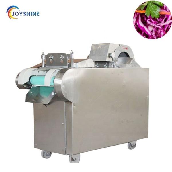 Máquina de cortar vegetais multifuncional Capacidade 600/1000/1500kg/h Voltagem 220v